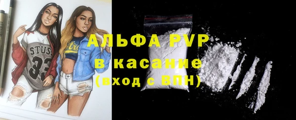 дживик Верхний Тагил