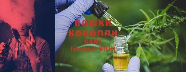 ГАЛЛЮЦИНОГЕННЫЕ ГРИБЫ Верея