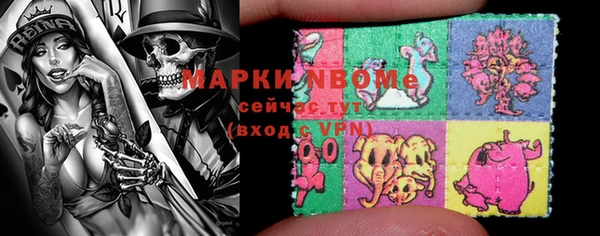 дживик Верхний Тагил