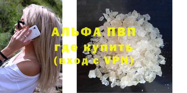 ГАЛЛЮЦИНОГЕННЫЕ ГРИБЫ Верея